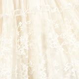 Ivory Velvet & Tulle Dress